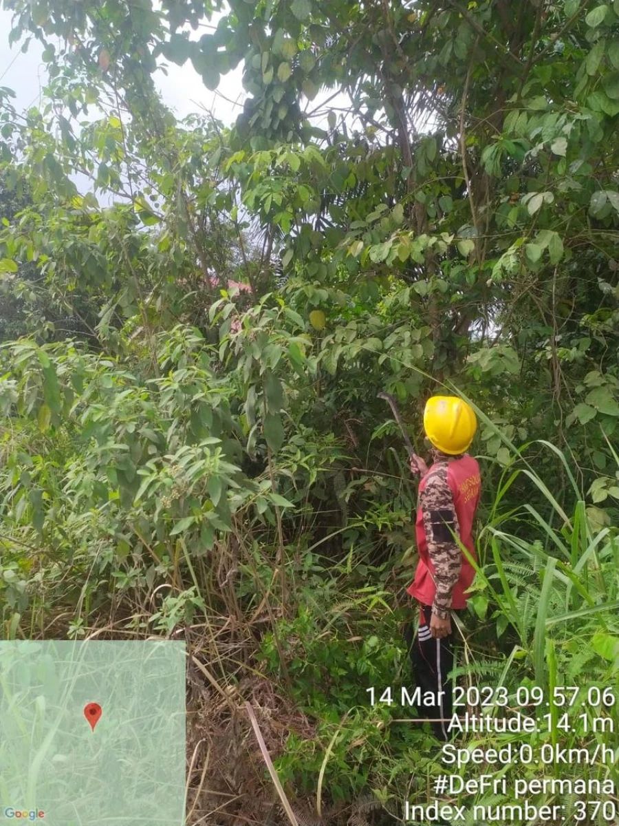 ROW Tanpa Padam Di Desa Mendis Jaya
