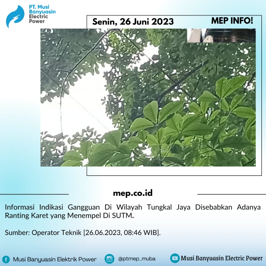 Informasi Indikasi Gangguan Di Wilayah Tungkal Jaya Disebabkan Adanya Ranting Karet yang Menempel Di SUTM.