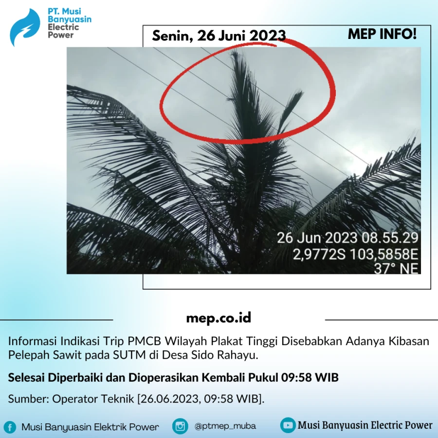 Informasi Indikasi Trip PMCB Wilayah Plakat Tinggi Disebabkan Adanya Kibasan Pelepah Sawit pada SUTM di Desa Sido Rahayu.