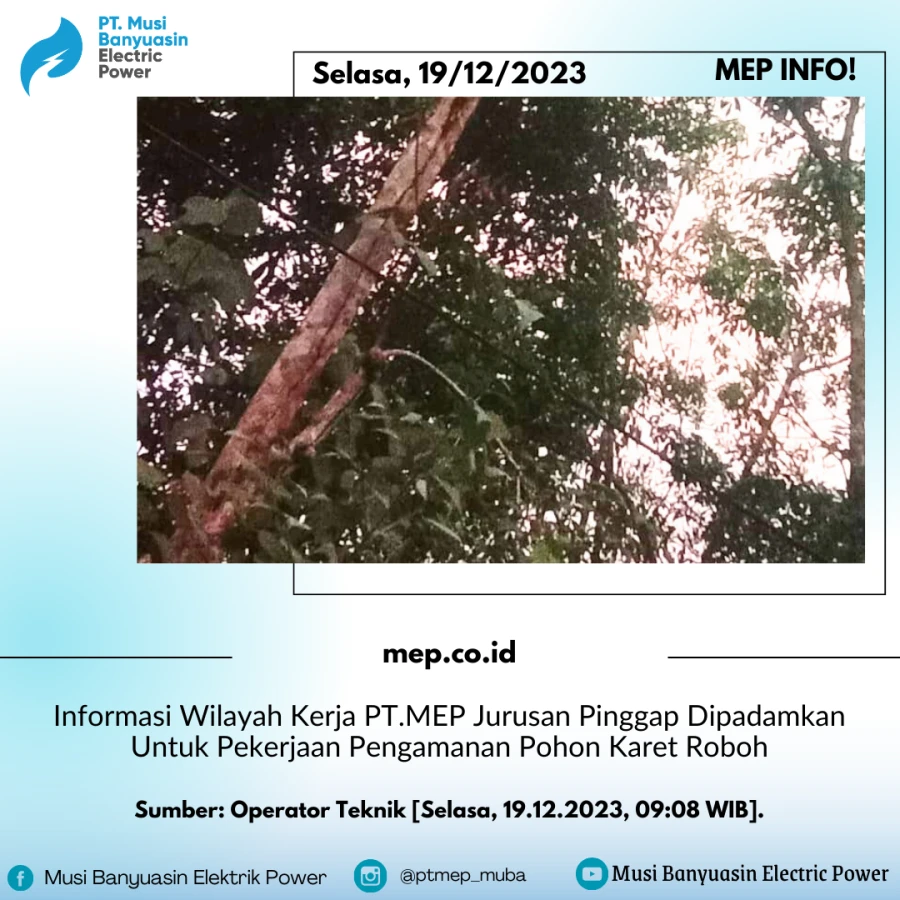 Informasi Wilayah Kerja PT.MEP Jurusan Pinggap Dipadamkan Untuk Pekerjaan Pengamanan Pohon Karet Roboh
