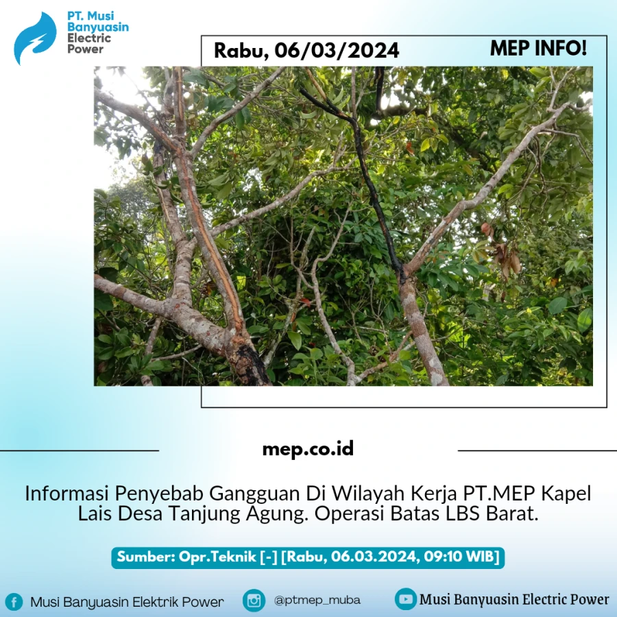 Informasi Penyebab Gangguan Di Wilayah Kerja PT.MEP Kapel Lais Desa Tanjung Agung 06/03/2024