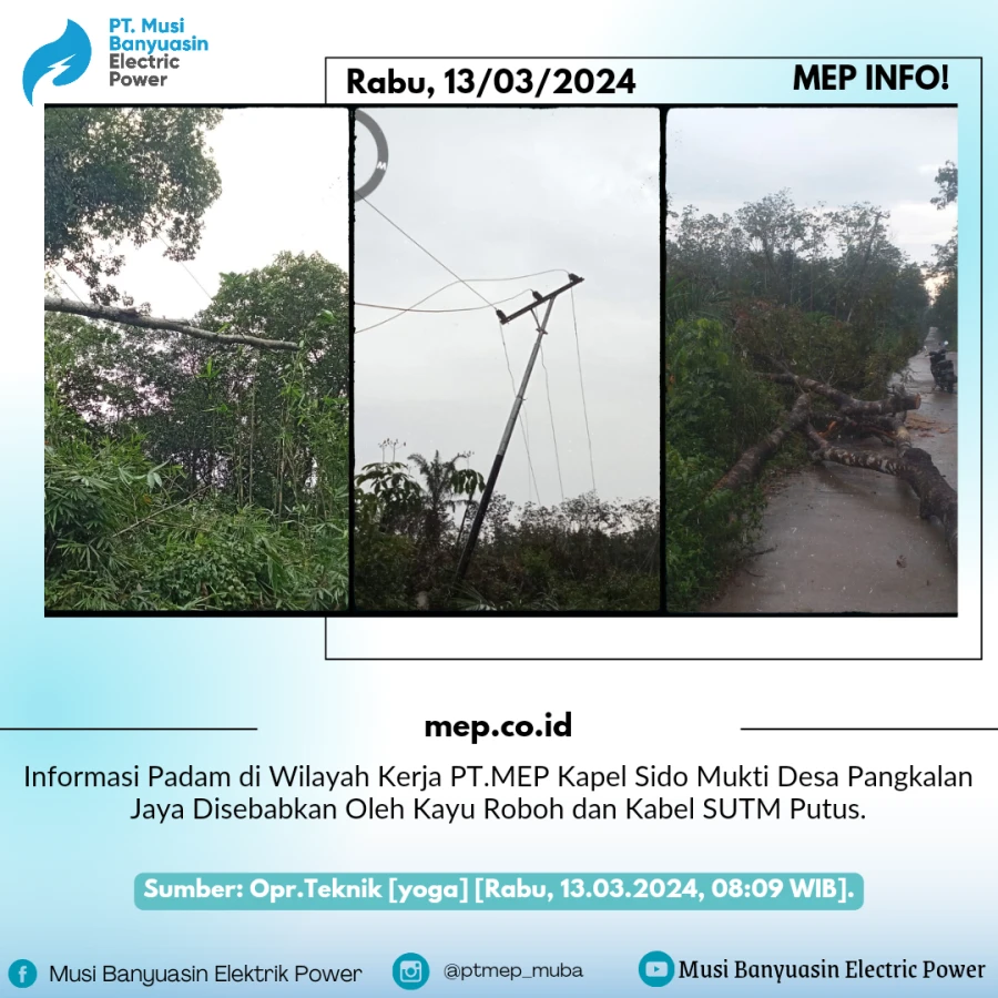 Informasi Padam di Wilayah Kerja PT.MEP Kapel Sido Mukti Desa Pangkalan Jaya Disebabkan Oleh Kayu Roboh dan Kabel SUTM Putus.