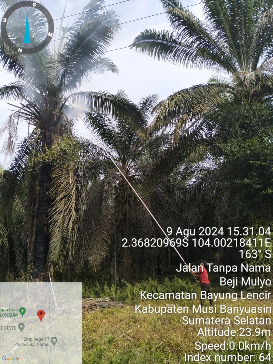 Informasi Padam Gangguan Listrik Di Wilayah Kerja PT MEP Tanggal 09/08/24 Kapel Tungkal Jaya