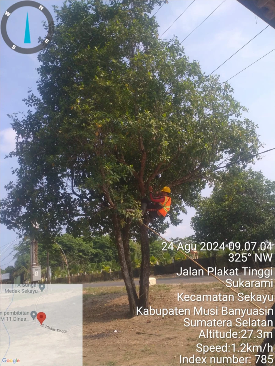 Update informasi kronologi penyebab pemadaman listrik di wilayah kerja PT MEP Kapel Plakat Tinggi Tanggal 24/08/2024
