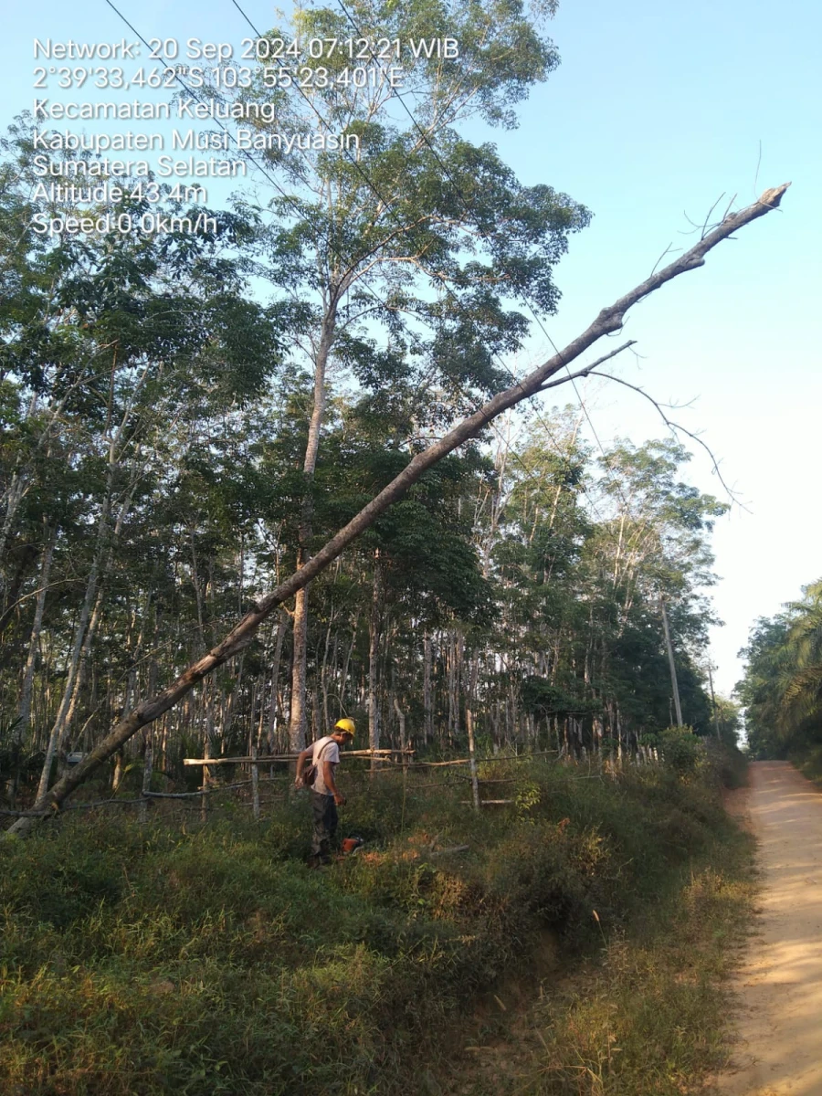 Informasi Penyebab Padam Gangguan Listrik Di Wilayah Kerja PT MEP Kapel Keluang Tanggal 20/09/2024