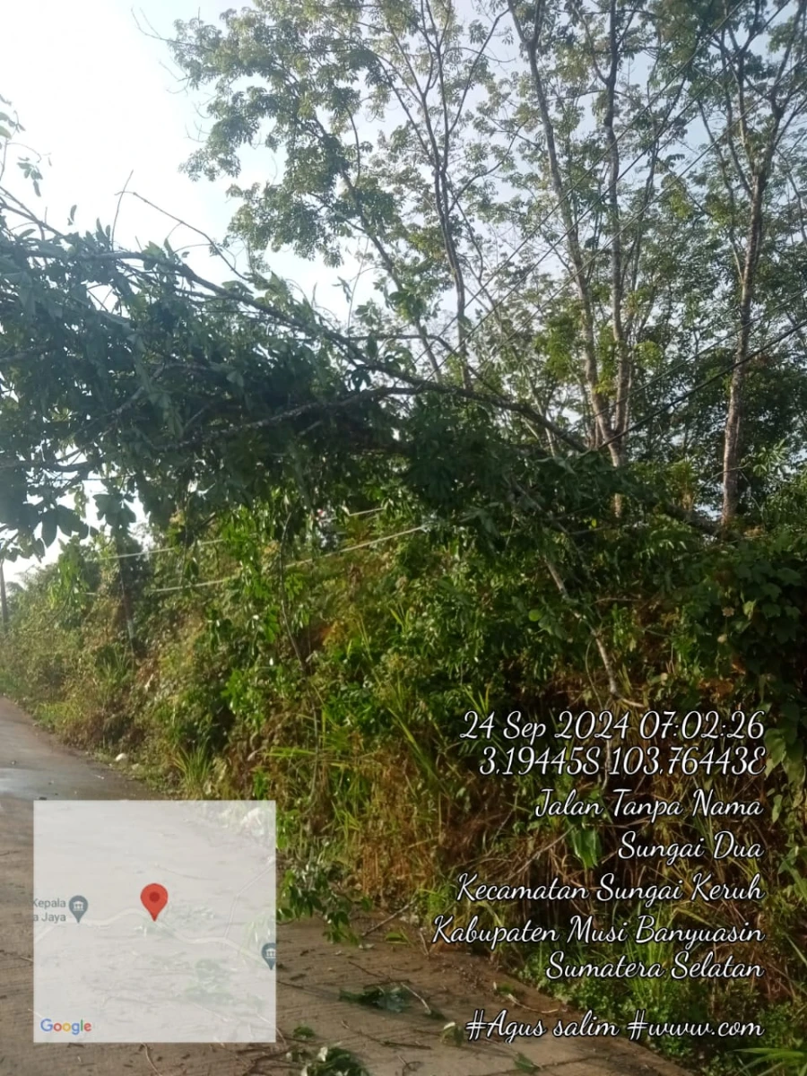 Informasi Penyebab Padam Gangguan Listrik Di Wilayah Kerja PT MEP Kapel Jirak Jaya Tanggal 24/09/2024