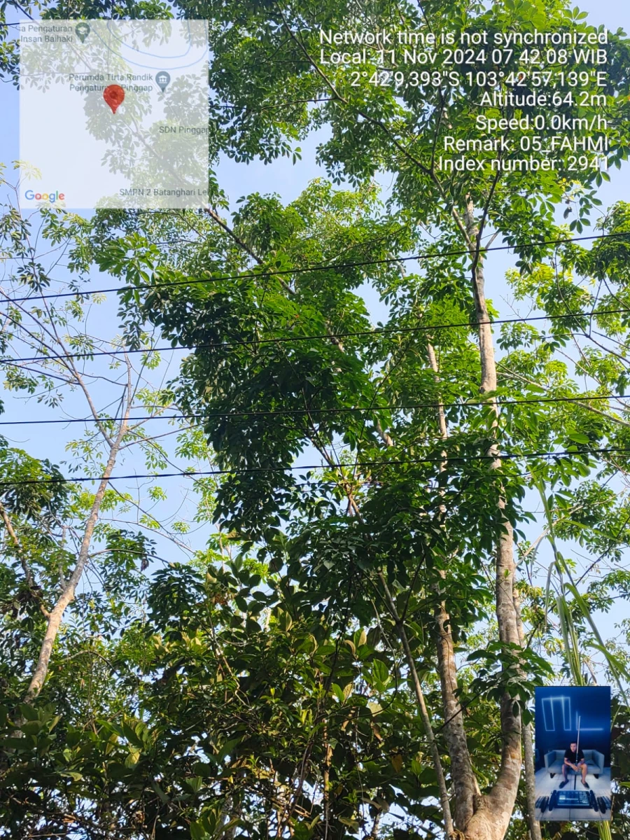 Informasi jurusan pinggap  sudah dioperasikan.  Indikasi gangguan: akar patah di Desa Pinggap (jerambah papan)