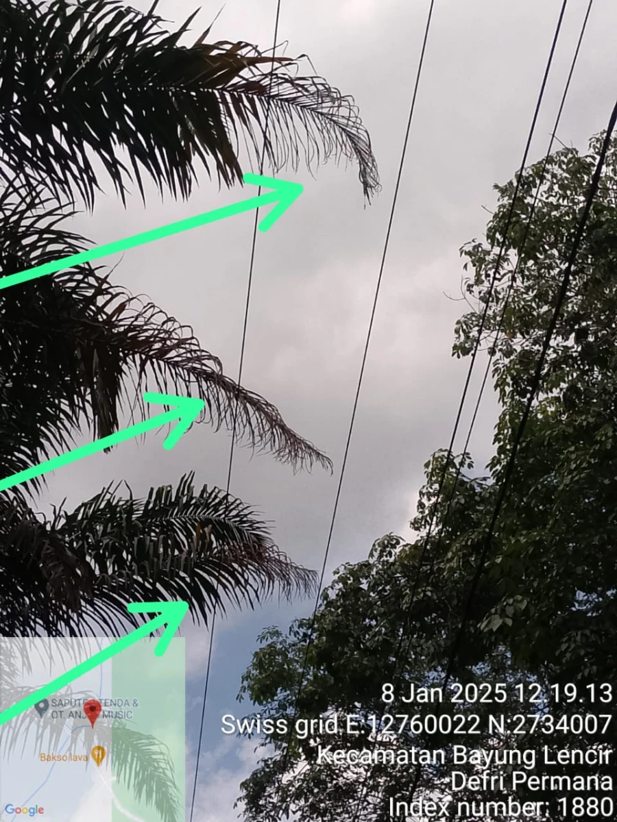 Update Informasi Penyebab Padam Gangguan Listrik Di Wilayah Kerja PT MEP Kapel Bayung Lencir Tanggal 08/01/2024