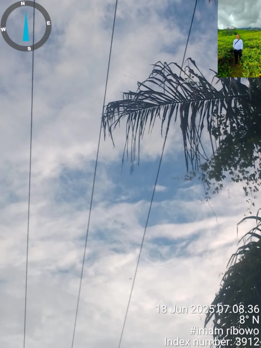 Informasi Terbaru Penyebab Padam Gangguan Listrik Di Wilayah Kerja PT MEP Kapel Sri gunung  Hari Rabu tanggal 16/06/2025