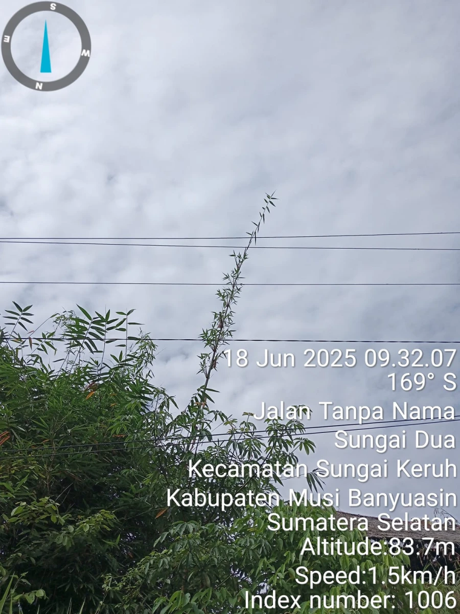 Informasi penyebab pemadaman wilayah kapel Jirak Jaya tanggal 16/06/2025