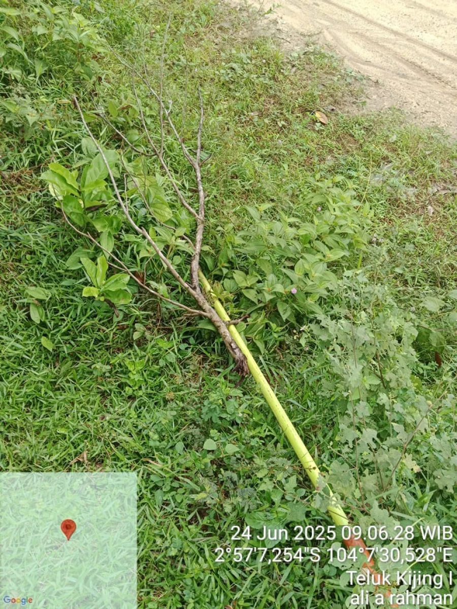 Informasi penyebab pemadaman wilayah kapel Lais [Tanjung Agung] tanggal 24/06/2025