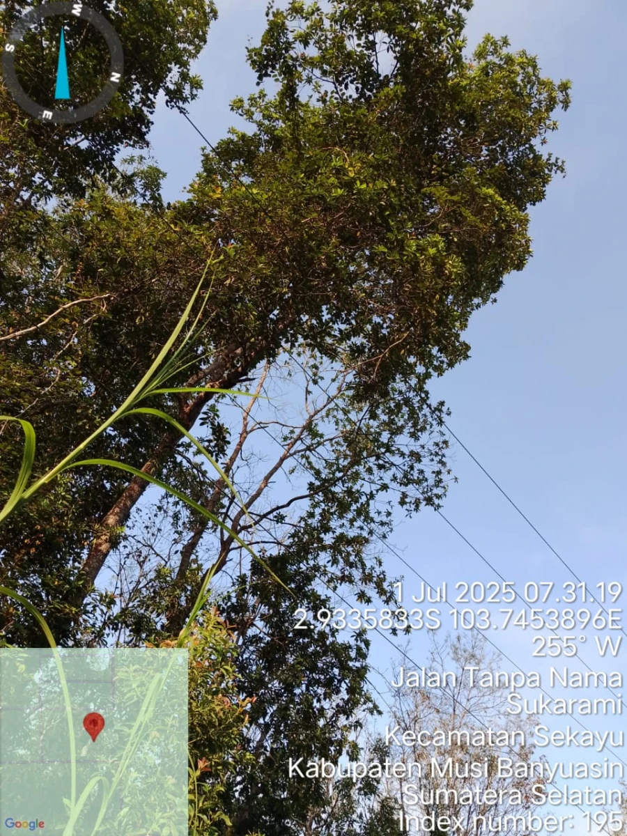 Informasi penyebab pemadaman wilayah kapel Plakat tinggi-Sidomukti tanggal 01/07/2025
