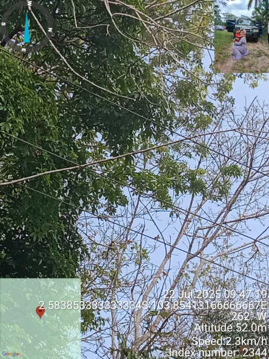 Informasi penyebab pemadaman wilayah kapel Keluang-Batang Hari Leko tanggal 22/07/2025