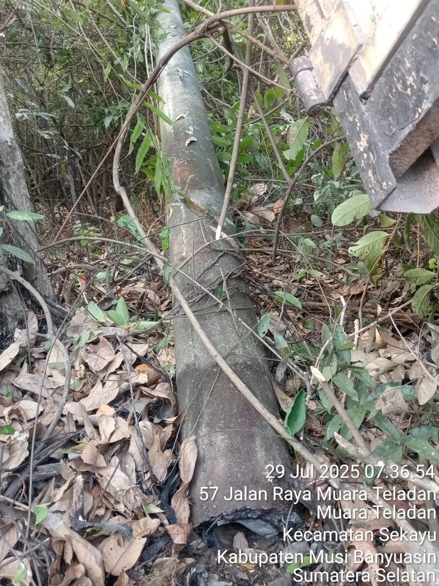 Informasi Terdampak Padam PLN di Wilayah Kerja PT MEP Kapel Keluang-Batang Hari Leko Hari Selasa Tanggal 29/07/2025