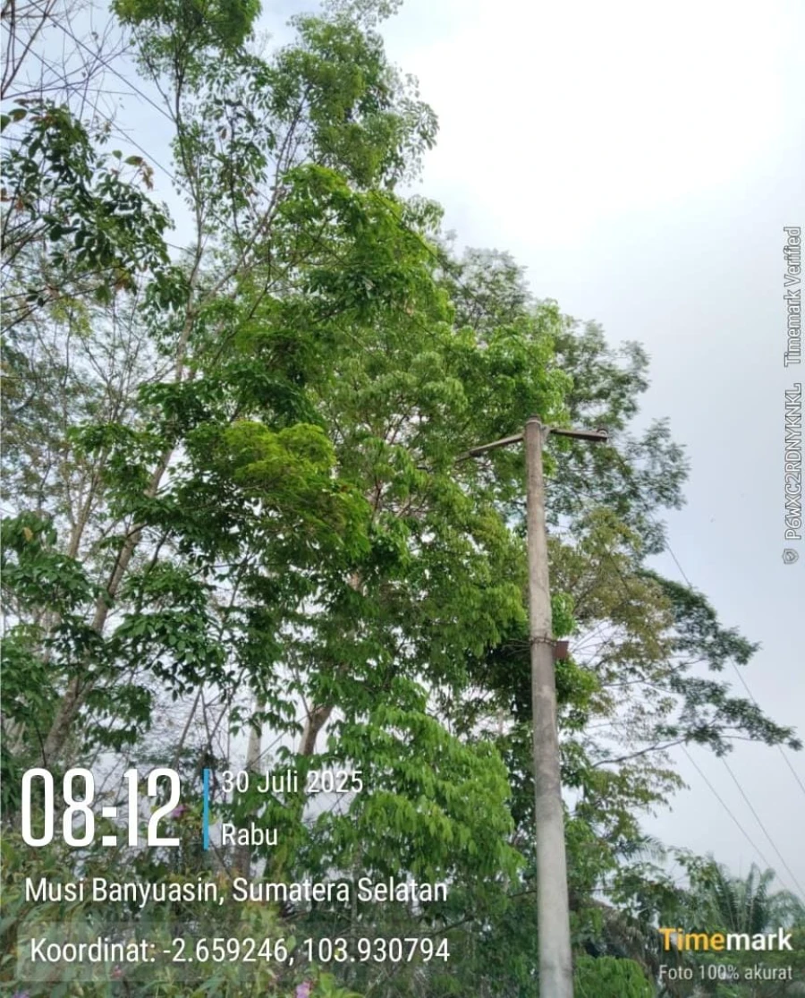 Informasi penyebab pemadaman wilayah kapel Keluang [Sumber Agung] tanggal 30/07/2025