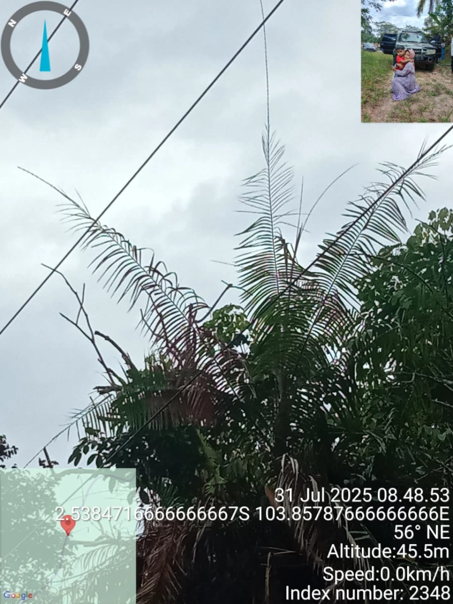 Informasi penyebab pemadaman wilayah kapel Keluang - Batang Hari Leko tanggal 31/07/2025