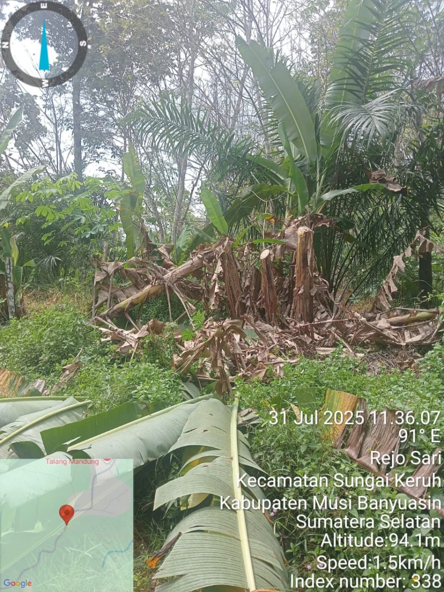 Informasi penyebab pemadaman wilayah kapel Jirak Jaya tanggal 31/07/2025