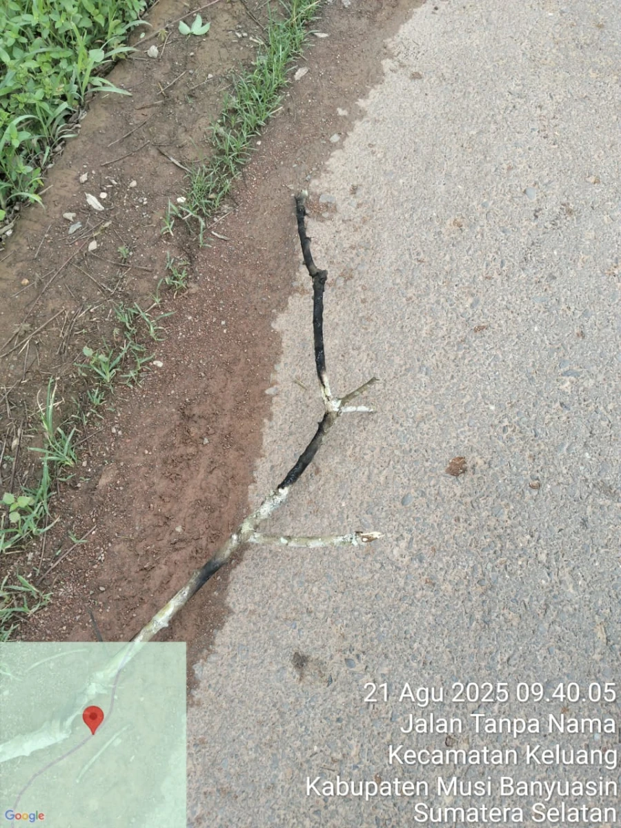 Informasi penyebab pemadaman wilayah kapel Keluang-Batang Hari Leko  tanggal 21/08/2025