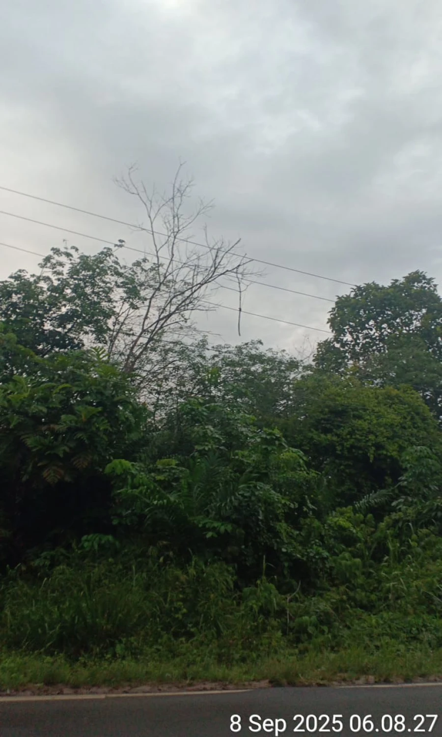 Informasi penyebab pemadaman wilayah kapel Tampang baru tanggal 08/09/2025