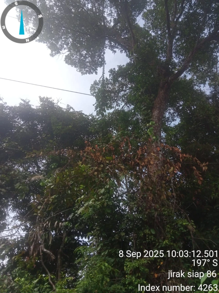 Informasi penyebab pemadaman wilayah kapel Jirak Jaya tanggal 08/09/2025