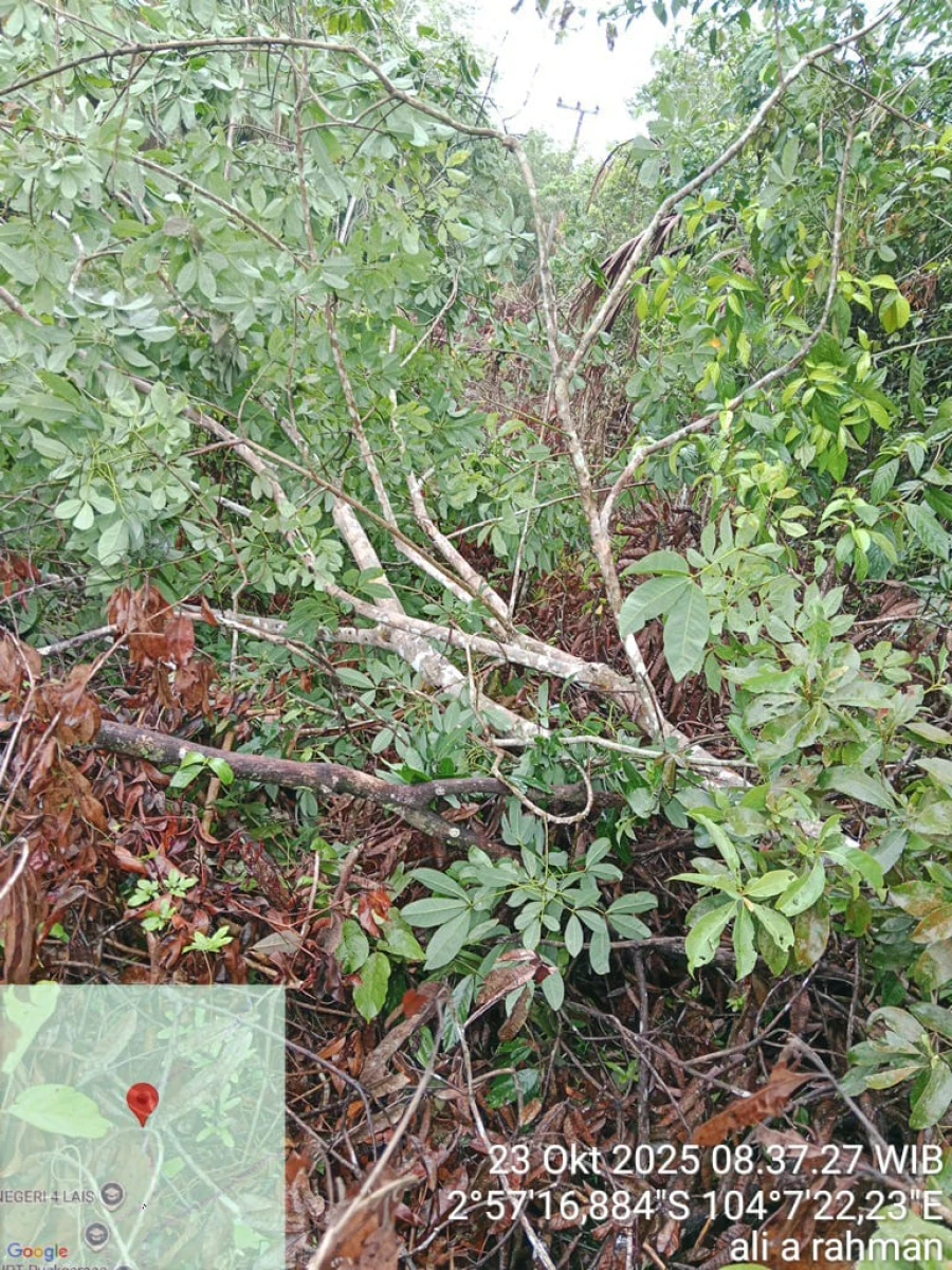 Informasi penyebab pemadaman wilayah kapel Lais [Tanjung Agung] tanggal 23/10/2025