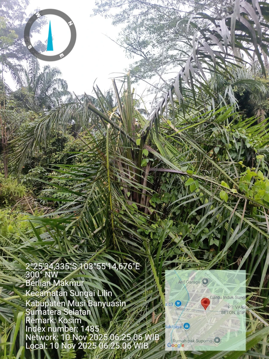 Informasi penyebab pemadaman wilayah kapel Tungkal Jaya - Tampang baru tanggal 10/11/2025